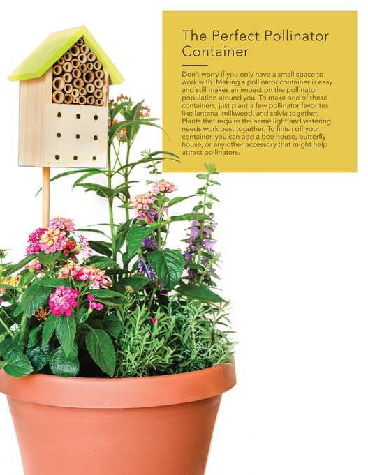 Simplepollinator Box McDonald Garden Center Pollinator Week Handbook - Page 18-19